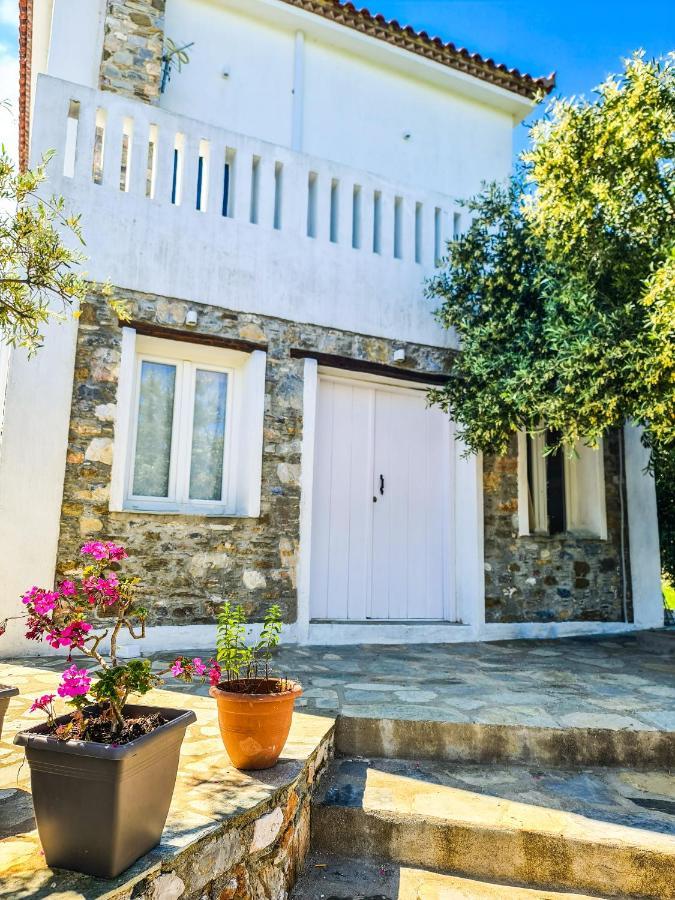 Lionaki House Villa Skopelos stad Exteriör bild