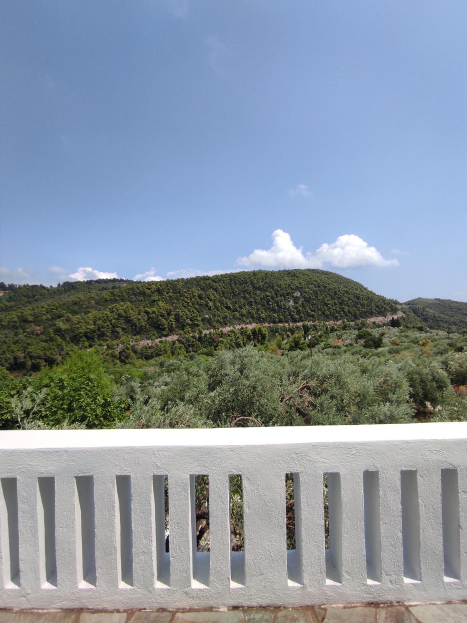 Lionaki House Villa Skopelos stad Exteriör bild